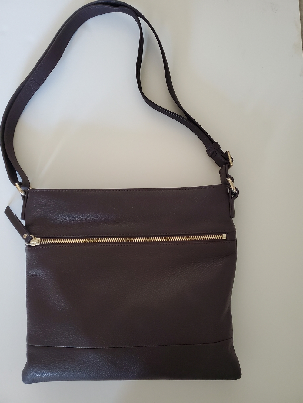 Danier Dark Purple Leather Crossbody Bag with Gold Zip